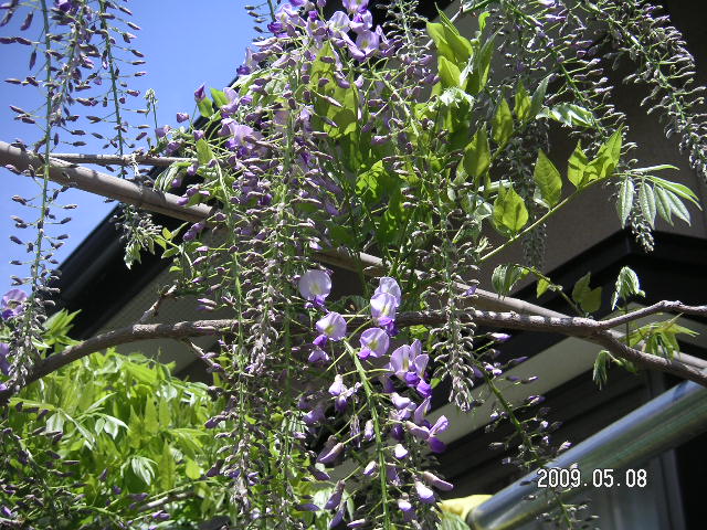 a0020929_2142132.jpg