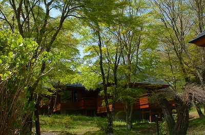 a0092129_912037.jpg