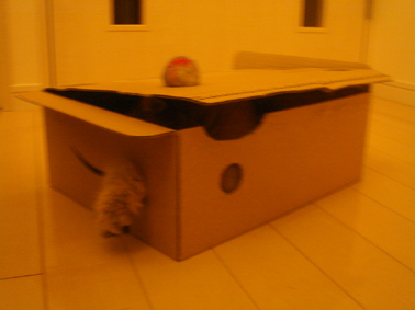 e0157129_18461072.jpg