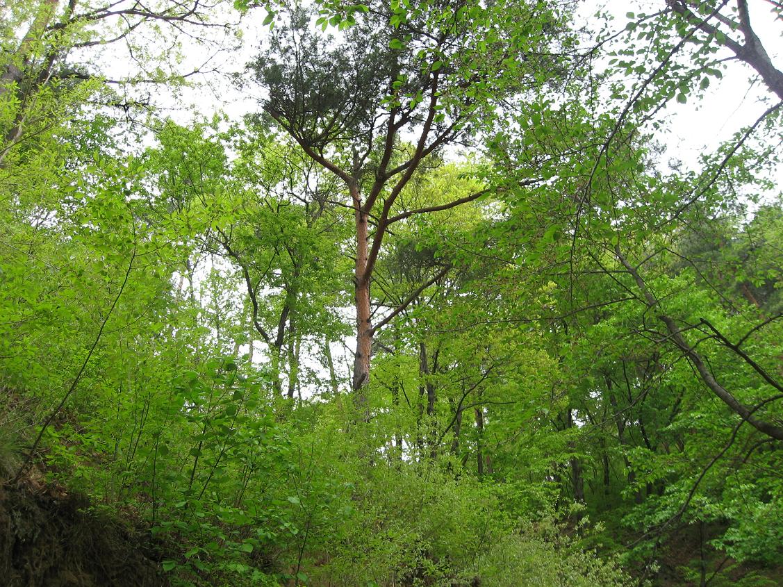 b0138734_19212474.jpg