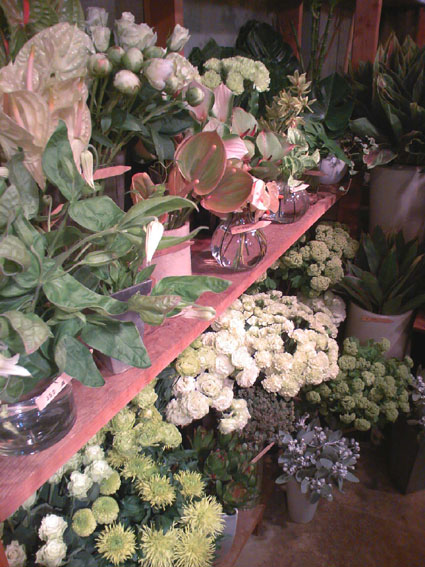 b0137240_021425.jpg