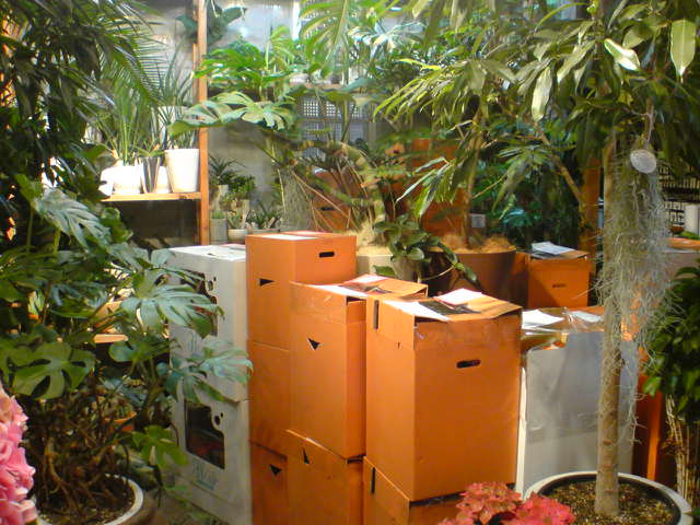 b0137240_12141763.jpg