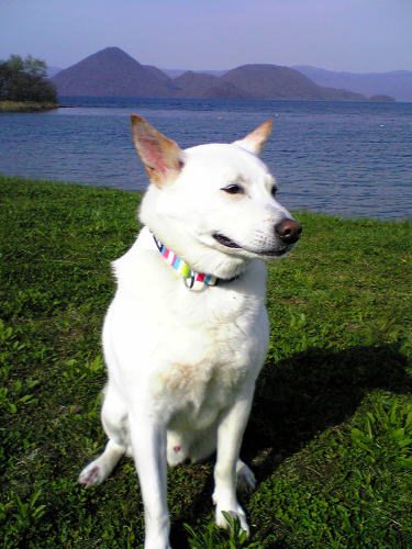 f0199641_1753584.jpg