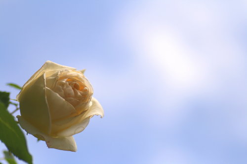 e0010342_23224659.jpg