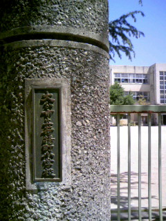 f0065842_16304339.jpg