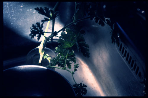 c0095644_16362868.jpg