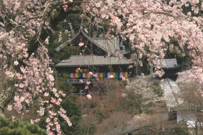 c0179844_10451256.jpg