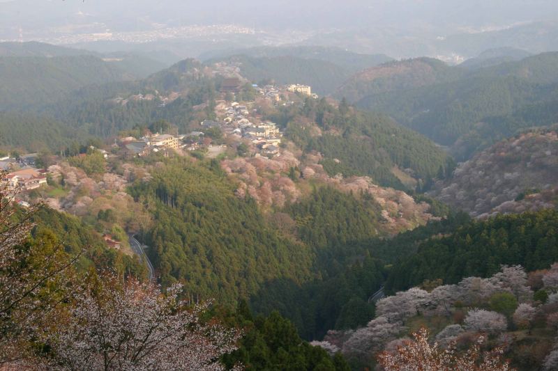 c0179844_1081592.jpg