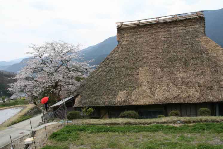 c0179844_95647.jpg