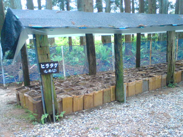 c0104445_0202747.jpg