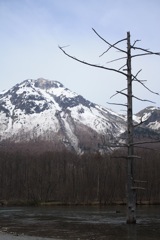 e0171249_1533747.jpg