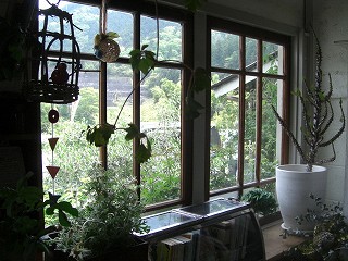 f0009451_1794538.jpg