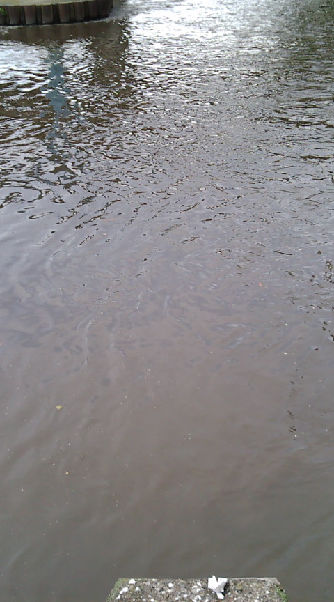 f0150151_10483486.jpg