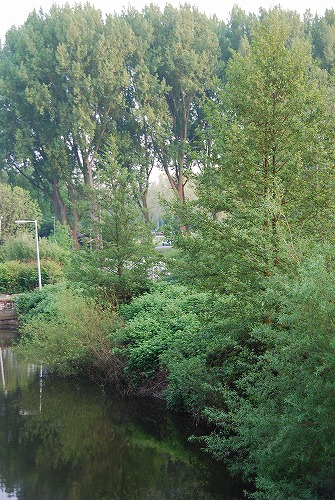 e0145753_525313.jpg