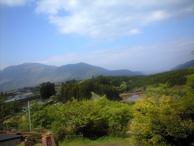 b0002156_8383338.jpg