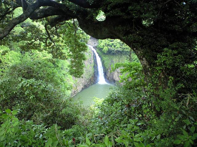 b0002156_848391.jpg