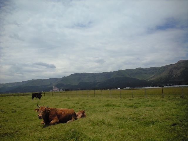 b0002156_8573178.jpg
