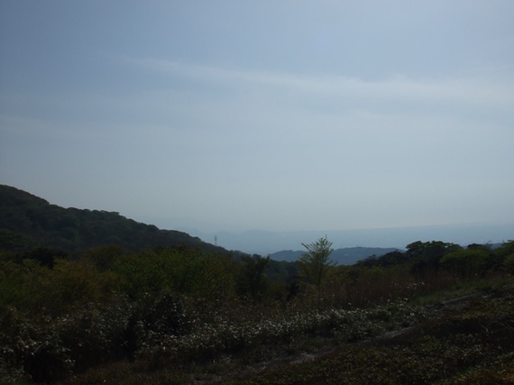 e0062156_185686.jpg
