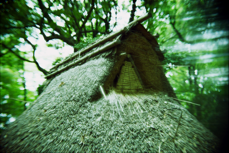 e0135059_2027220.jpg