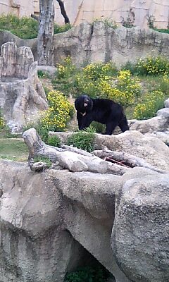 d0076760_23135052.jpg