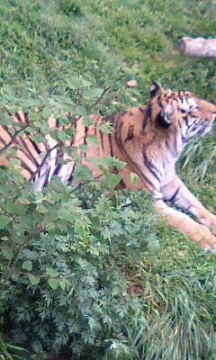 d0076760_23153131.jpg