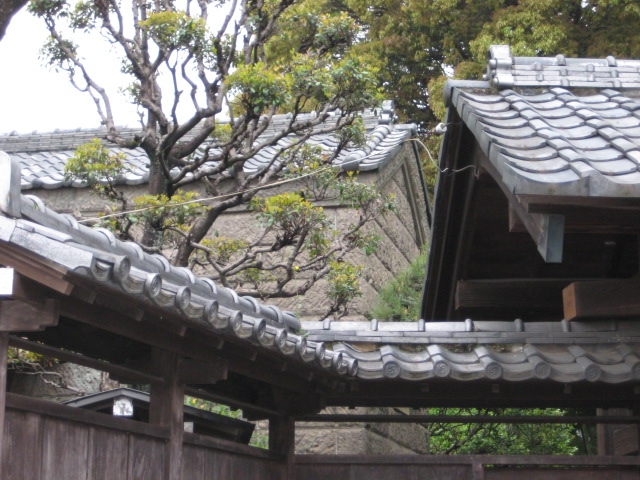 e0116960_059219.jpg