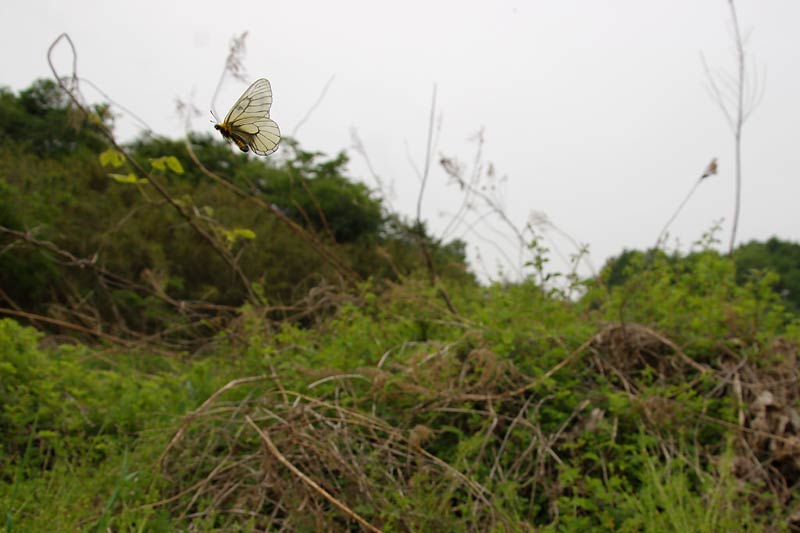 c0043361_010666.jpg