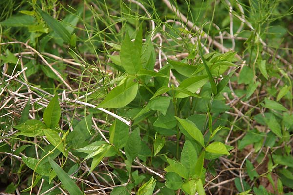 c0043361_0141725.jpg