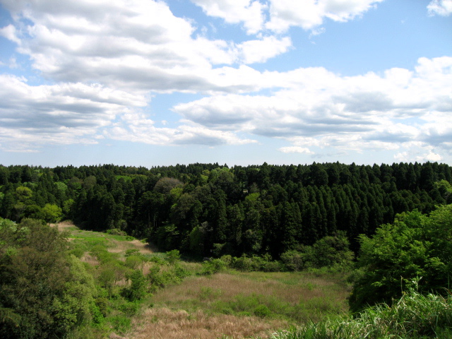 e0139165_17585445.jpg