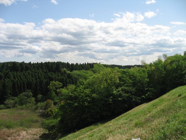 e0139165_17591574.jpg
