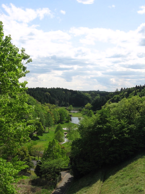 e0139165_17594358.jpg