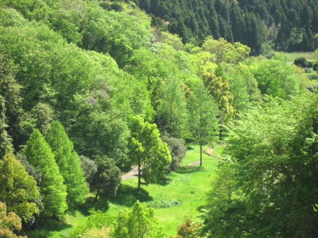 e0139165_1811036.jpg