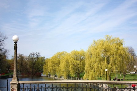 a0100975_10383889.jpg