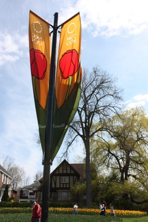 a0100975_1054088.jpg
