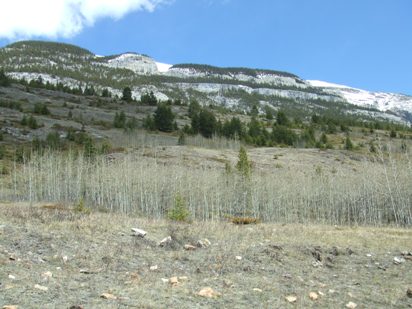 a0047577_253790.jpg