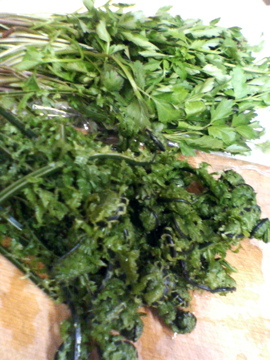 f0054677_8141435.jpg