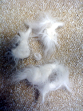 f0054677_8145893.jpg