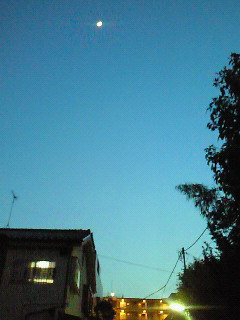 d0072481_10484456.jpg