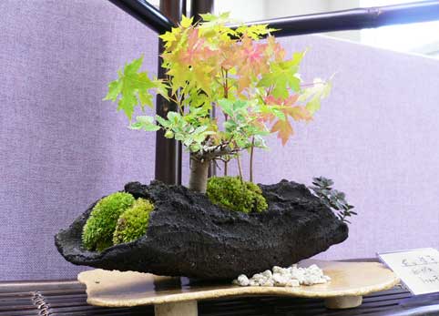 『日本びいきの外人を見るとなんか和む ...