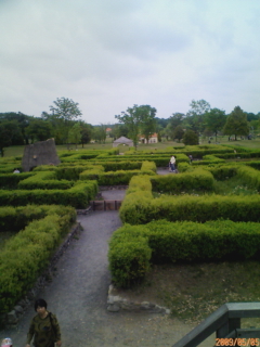 c0096582_1326197.jpg