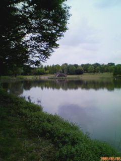 c0096582_13354640.jpg