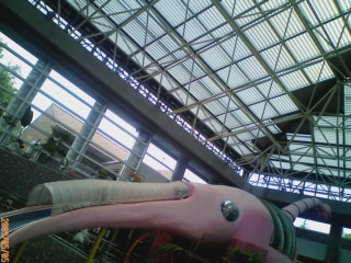c0096582_1352987.jpg