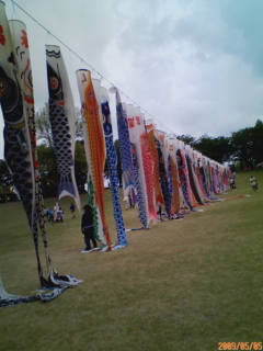 c0096582_1545411.jpg