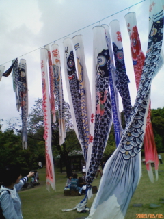 c0096582_1551377.jpg