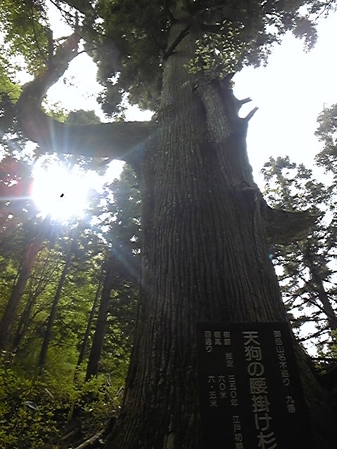 f0014183_13414020.jpg