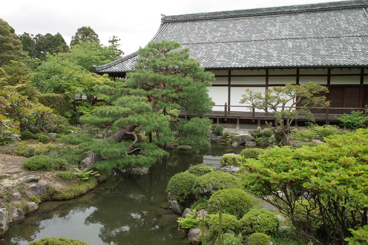 b0052286_15572838.jpg
