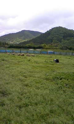 f0189490_19461722.jpg