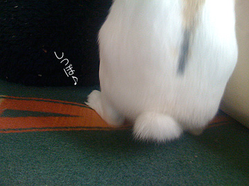 f0201191_1303433.jpg