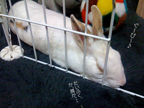 f0201191_132286.jpg