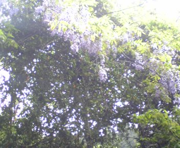 a0056898_2153115.jpg